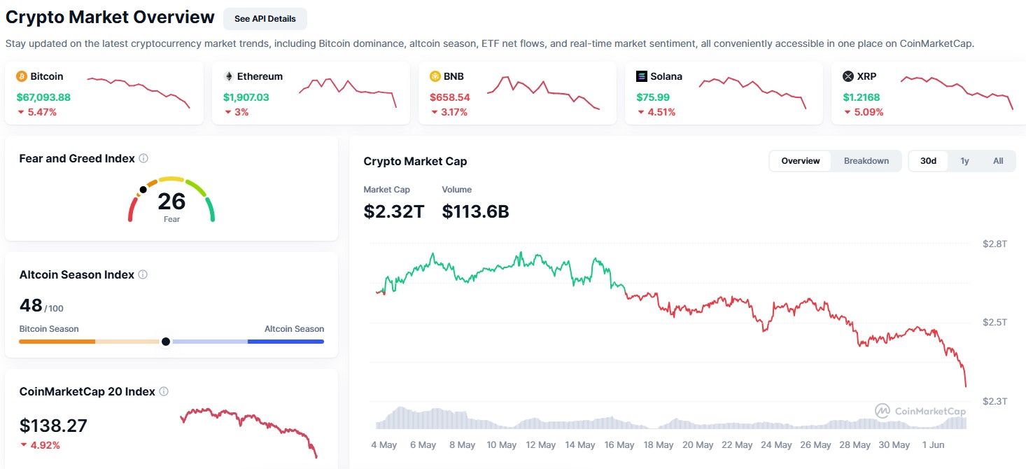 Crypto Crash Wipes Out 7% in 24 Hours: What’s Next?