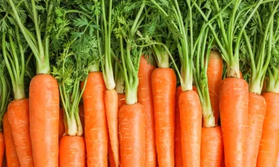 Prebiotic fiber brand joins Ingredion portfolio