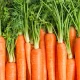 Prebiotic fiber brand joins Ingredion portfolio