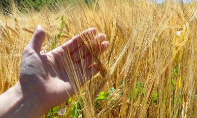 Federal order advances regenerative agriculture