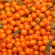 Functional berry on the rise in snack and beverage formulations