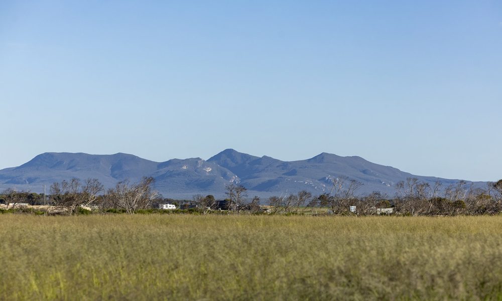 NSW cotton king to absorb major WA corporate farm company