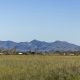 NSW cotton king to absorb major WA corporate farm company