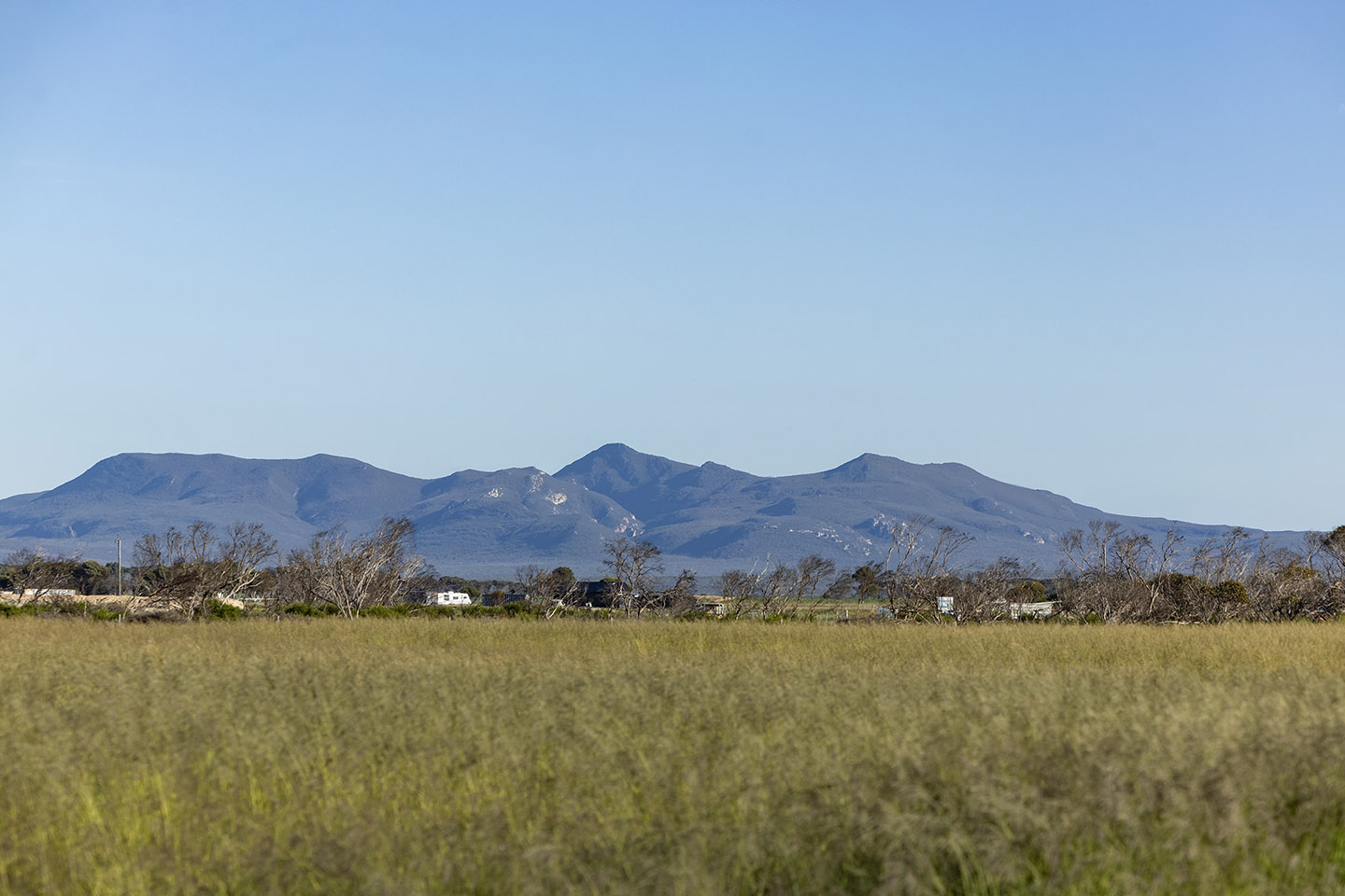 NSW cotton king to absorb major WA corporate farm company