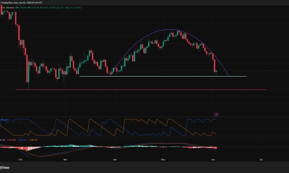 Bitcoin price has formed a bearish rounding top pattern on the daily chart.