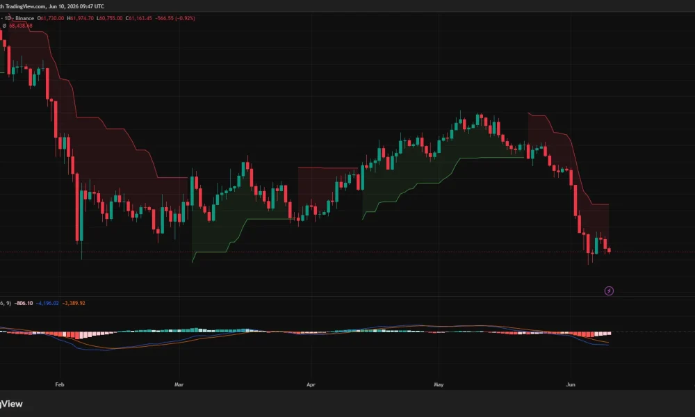 Bitcoin daily price chart.