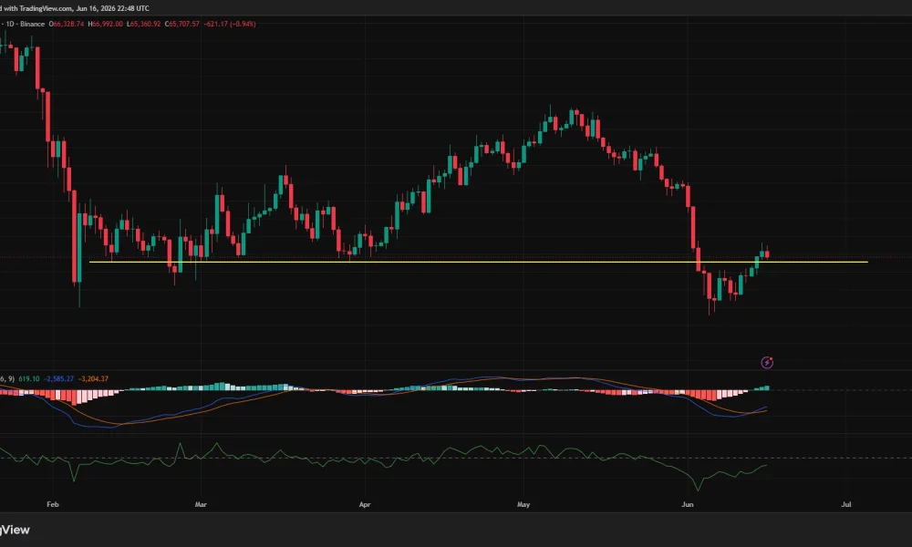 Bitcoin daily price chart.