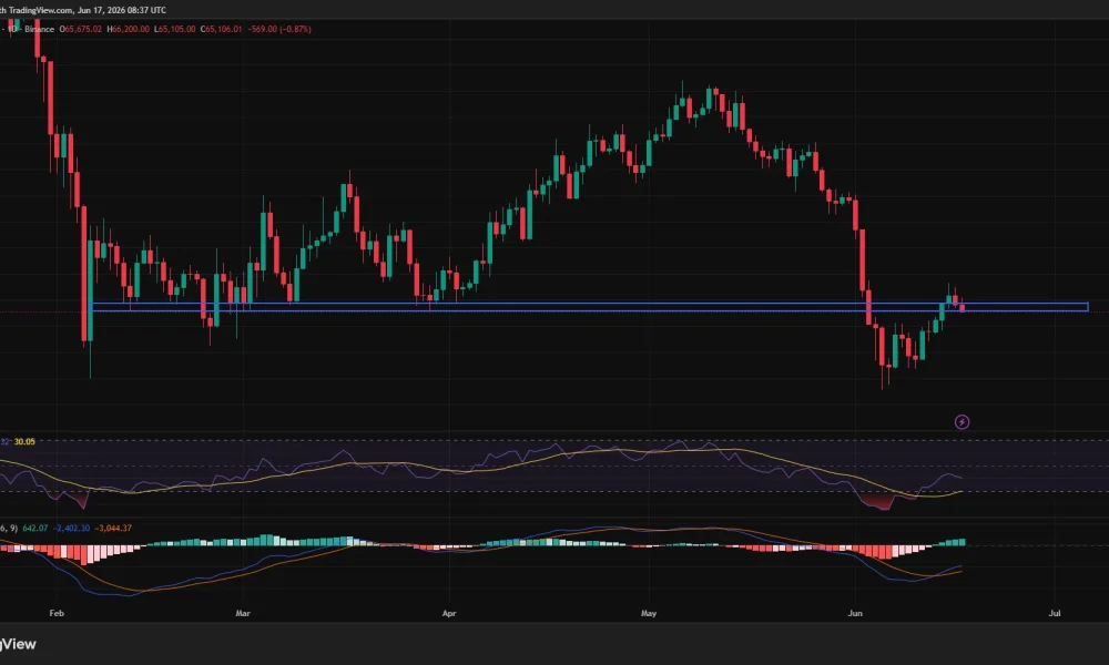 Bitcoin daily price chart.