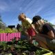 The island festival putting nature before acts