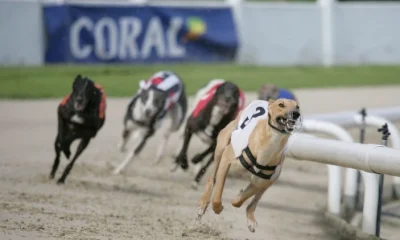 After 100 years of greyhound racing, ministers must finally ban it