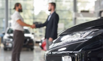 Opinion: It’s a jungle out there as car sales go ‘e’