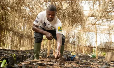 A cocoa farmer Illustrating Fairtrade Foundations research on support for climate action