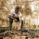 A cocoa farmer Illustrating Fairtrade Foundations research on support for climate action