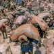 Cobalt mine Energy transition minerals Attacks on whistleblowers