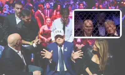 Images of Trump at America 250 UFC fight, including one of him seemingly asleep