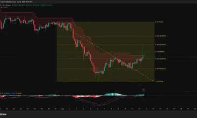 Dogecoin 4-hour price chart.