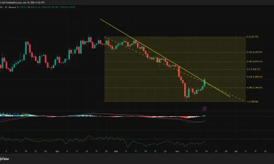 Ethereum daily price chart.