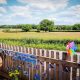Earlybirds Preschool needs your Tesco blue token vote!