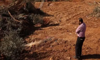 Ethnic cleansing