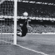 FIFA World Cup semi-final against West (1966)