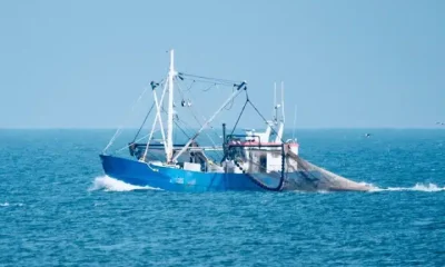 Fishing vessel at sea