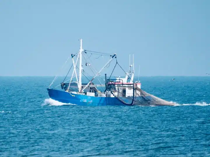 Fishing vessel at sea