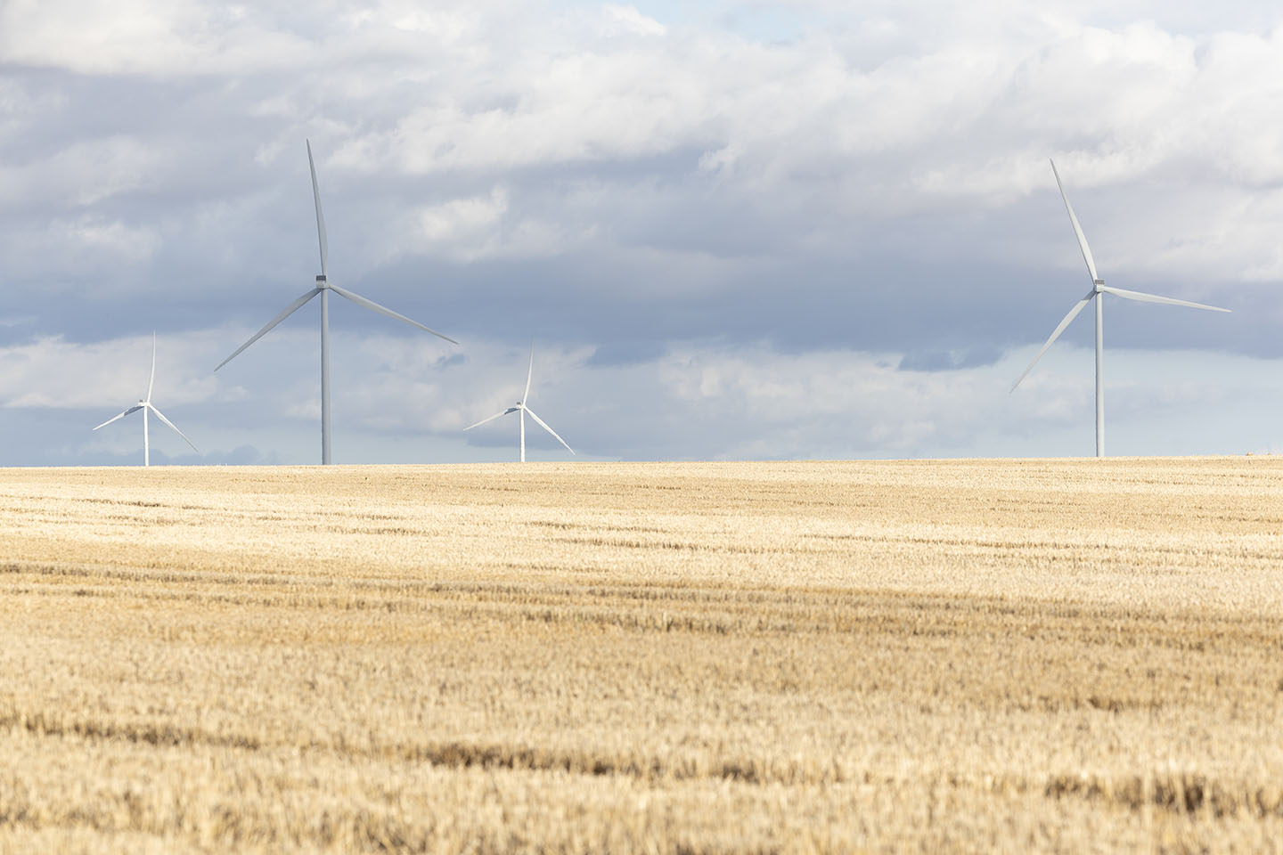 Green energy powers Indigenous economic prospects