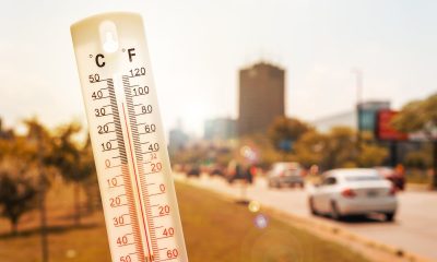 The heatwave mistake Portsmouth drivers are about to make
