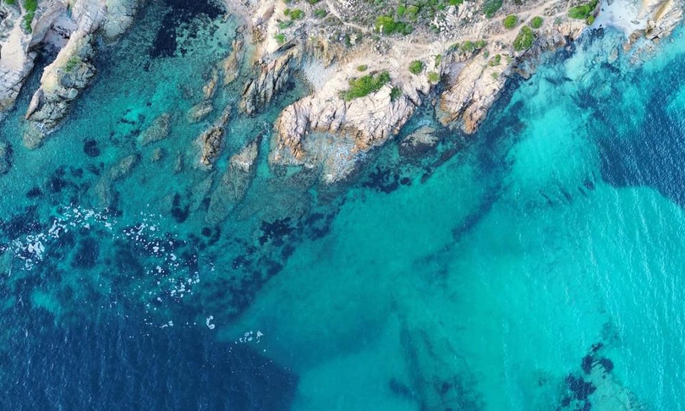 Greenland sheds new light on underwater carbon sink