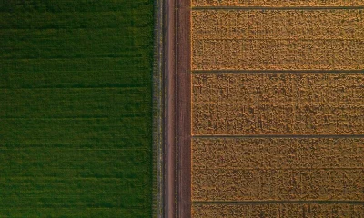 Grupo Bimbo makes strides with regenerative agriculture