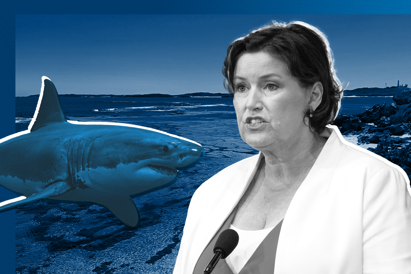Shark deaths prompt calls for more drumlines, research