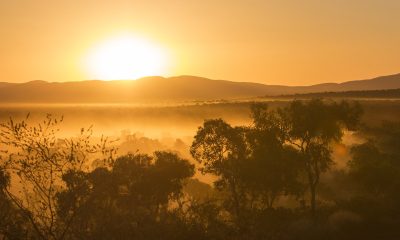 Industries must 'come together' on heritage forum after government's 2023 backflip
