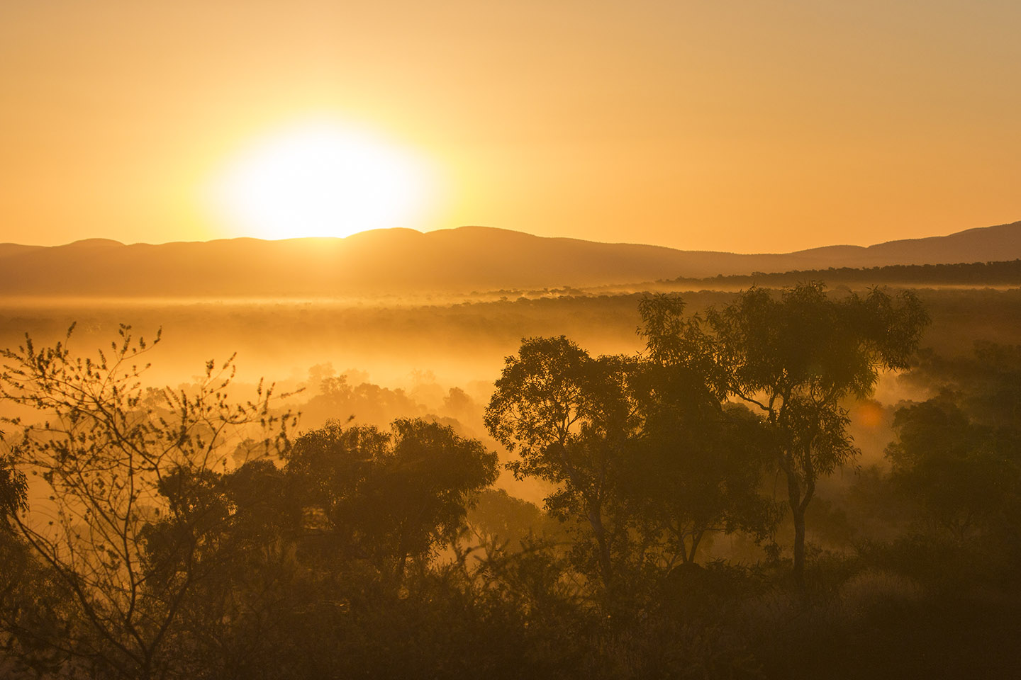 Industries must 'come together' on heritage forum after government's 2023 backflip