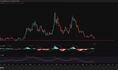 Chainlink weekly chart showing a prolonged downtrend as price approaches the key $5.50-$6.30 support zone with bearish RSI and MACD.