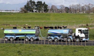 Fitch Ratings to withdraw NZ’s Fonterra ratings after it ends engagement