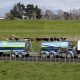 Fitch Ratings to withdraw NZ’s Fonterra ratings after it ends engagement