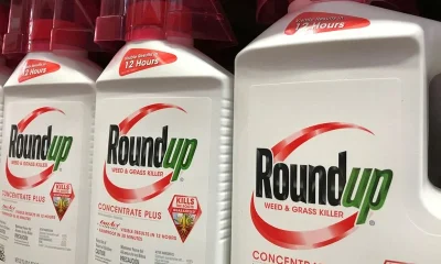 Bayer says no plans to restructure despite litigation threat