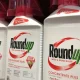 Bayer says no plans to restructure despite litigation threat