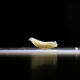 Flesh-eating parasite New World screwworm confirmed in Texas, USDA says