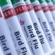 Australia vows to rein in any H5N1 birdflu after confirming first case