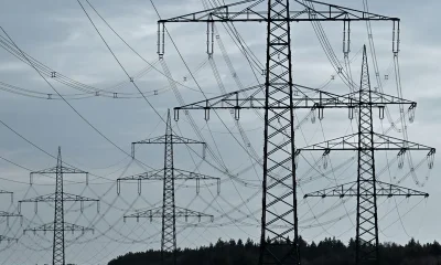 Global business leaders back faster electrification shift
