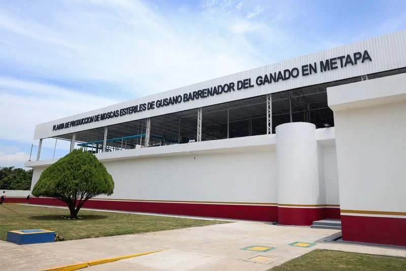 US, Mexico inaugurate sterile fly plant in Chiapas in cross-border screwworm fight