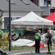 Eleven people killed in plane crash in northeastern France, officials say