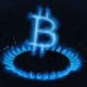 Zcash crisis deepens as David Schwartz explains “lonely” coins