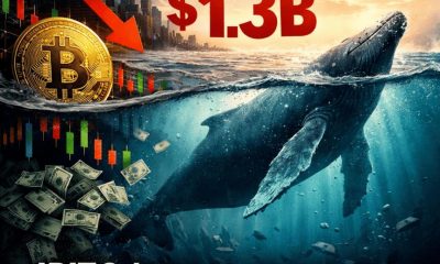 Crypto Breaking News