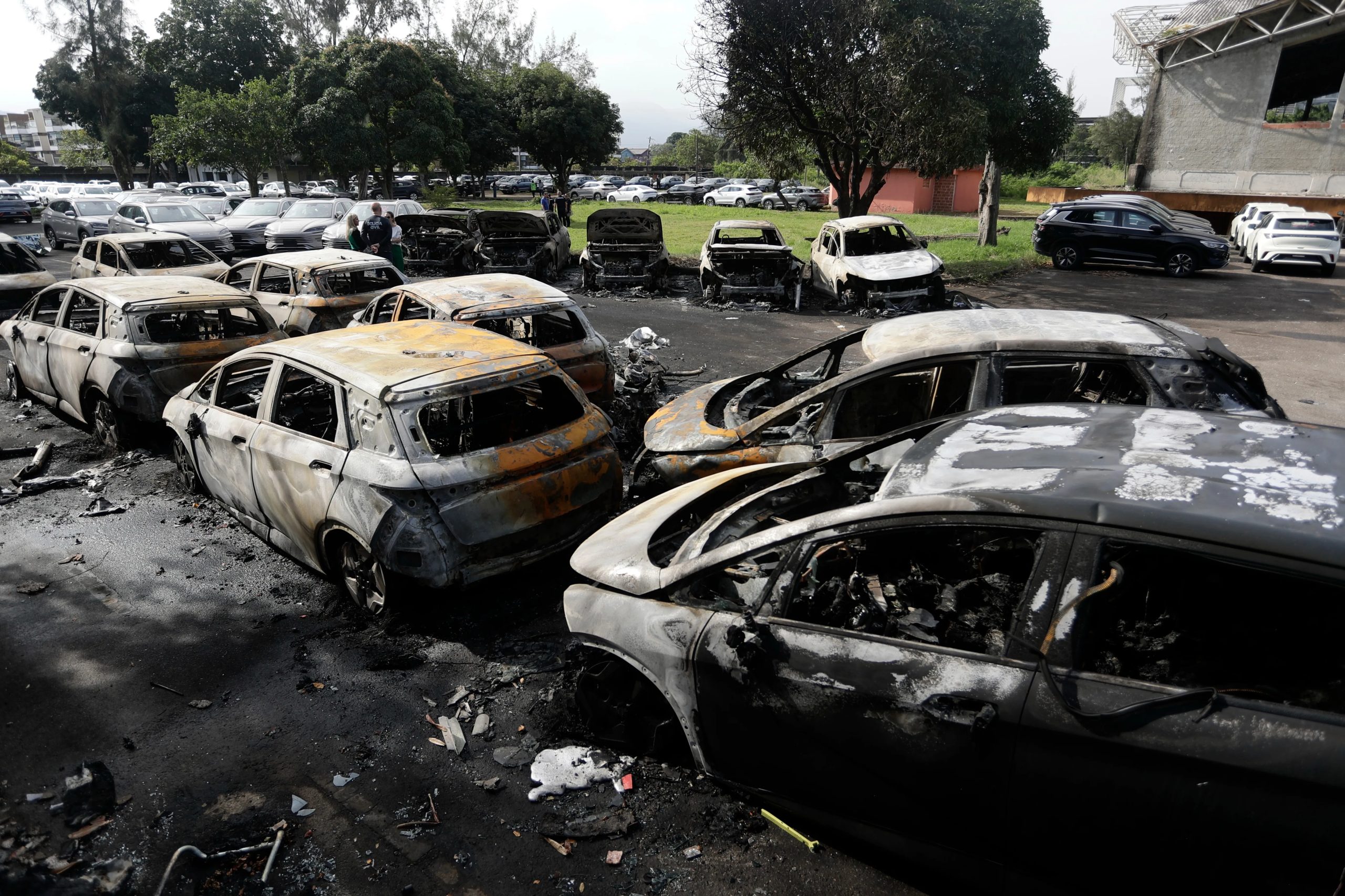 Oliver Tree Five People Killed Died Dead Helicopter Crash Accident Brazil