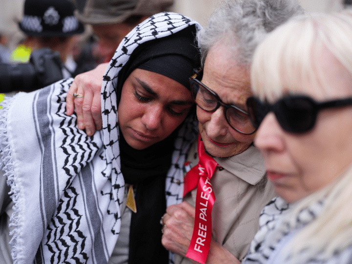 palestine action