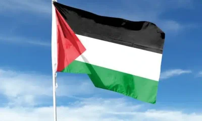 Stock image of a Palestine flag on flagpole against blue sky. The DUP ignited the flames and then claimed to have helped extinguish them.