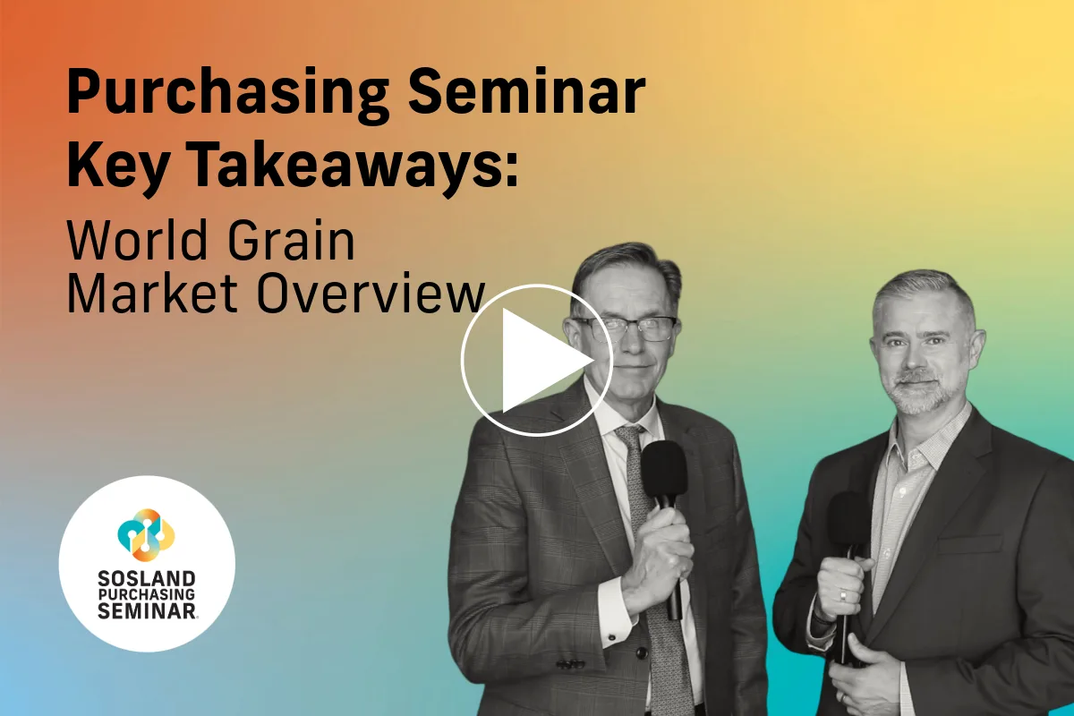 Economist discusses world grain outlook, shares buying advice