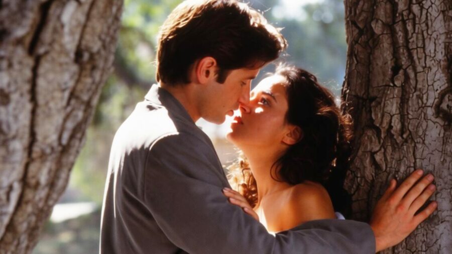Erotic David Duchovny Series Changed Cable Forever